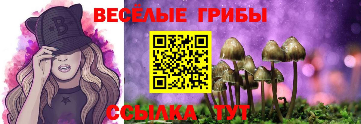 Галлюциногенные грибы мицелий  Вход с VPN  как найти закладки  Сызрань 